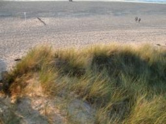 Strand u. D&uuml;nen